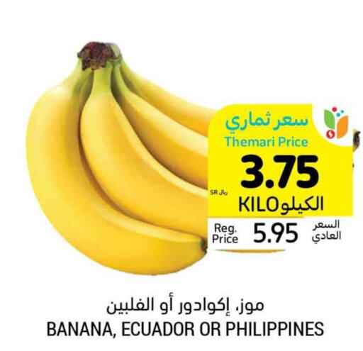  Banana  in أسواق التميمي in مملكة العربية السعودية, السعودية, سعودية - عنيزة