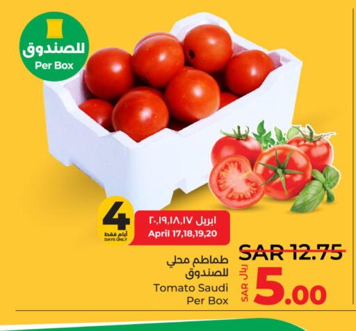  Tomato  in LULU Hypermarket in KSA, Saudi Arabia, Saudi - Hafar Al Batin