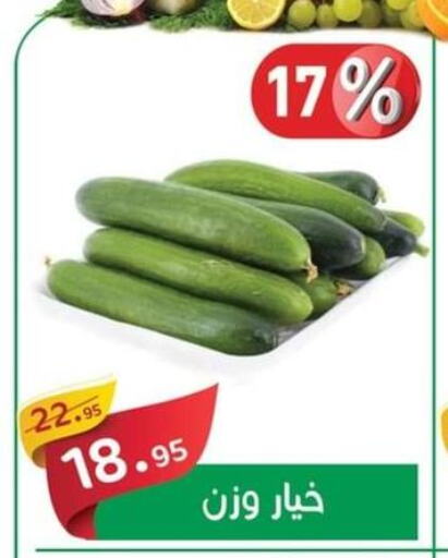  Cucumber  in أسواق العثيم in Egypt - القاهرة
