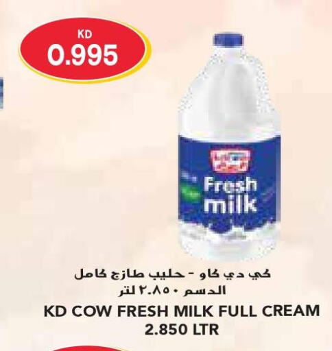 KD COW Full Cream Milk  in Grand Costo in Kuwait - Kuwait City