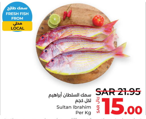  Tuna  in LULU Hypermarket in KSA, Saudi Arabia, Saudi - Jubail