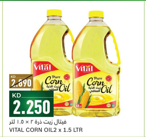  Corn Oil  in Gulfmart in Kuwait - Kuwait City