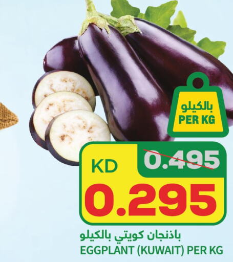  Zucchini  in أونكوست in الكويت - محافظة الأحمدي