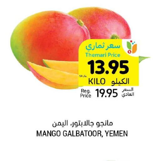 Mango   in أسواق التميمي in مملكة العربية السعودية, السعودية, سعودية - عنيزة