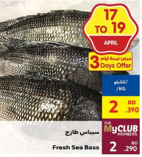  King Fish  in Carrefour in Bahrain