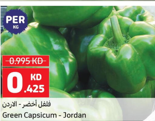  Chilli / Capsicum  in Carrefour in Kuwait - Kuwait City
