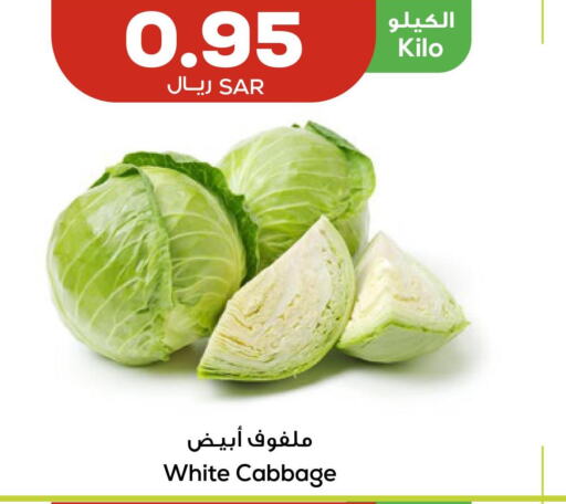  Cabbage  in Astra Markets in KSA, Saudi Arabia, Saudi - Tabuk