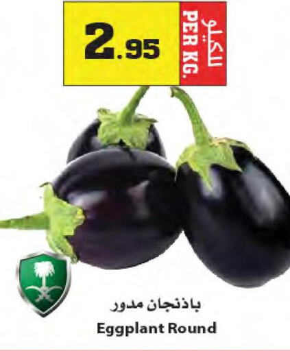  Cucumber  in أسواق النجمة in مملكة العربية السعودية, السعودية, سعودية - ينبع