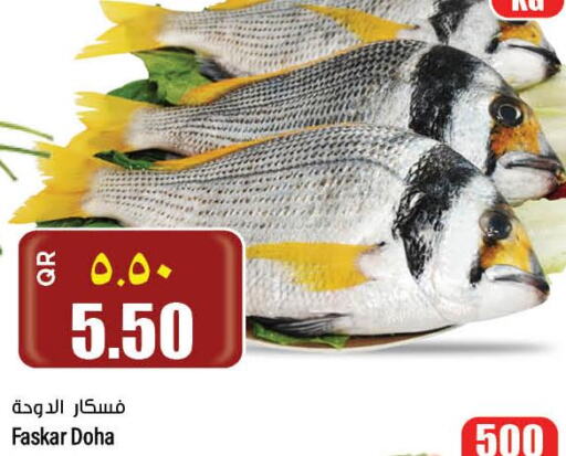  King Fish  in ريتيل مارت in قطر - الشمال