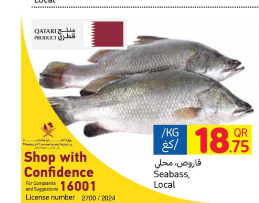  King Fish  in Carrefour in Qatar - Al Shamal