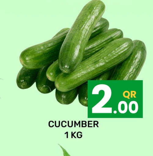  Cucumber  in Majlis Hypermarket in Qatar - Doha