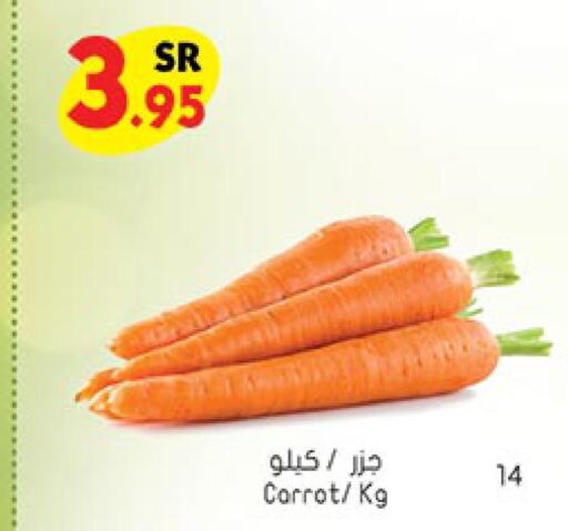  Carrot  in بن داود in مملكة العربية السعودية, السعودية, سعودية - مكة المكرمة