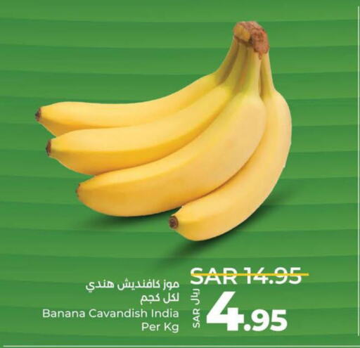  Banana  in لولو هايبرماركت in مملكة العربية السعودية, السعودية, سعودية - عنيزة