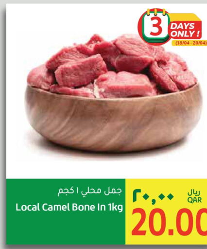  Camel meat  in جلف فود سنتر in قطر - الشمال
