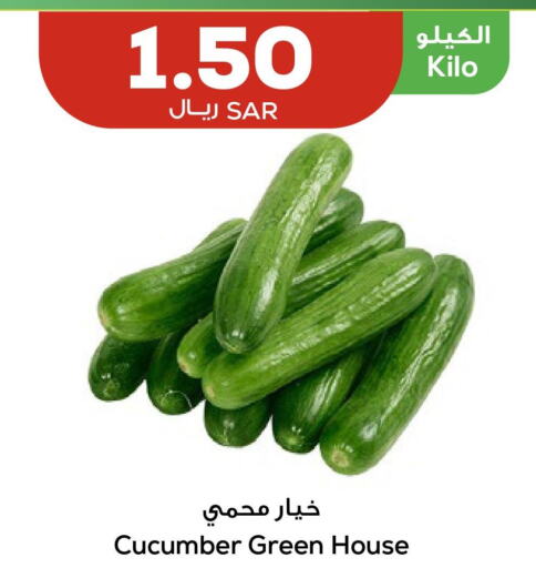 Cucumber  in Astra Markets in KSA, Saudi Arabia, Saudi - Tabuk
