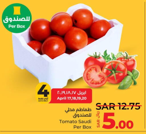  Tomato  in لولو هايبرماركت in مملكة العربية السعودية, السعودية, سعودية - القطيف‎