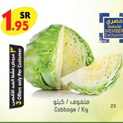  Cabbage  in Bin Dawood in KSA, Saudi Arabia, Saudi - Jeddah