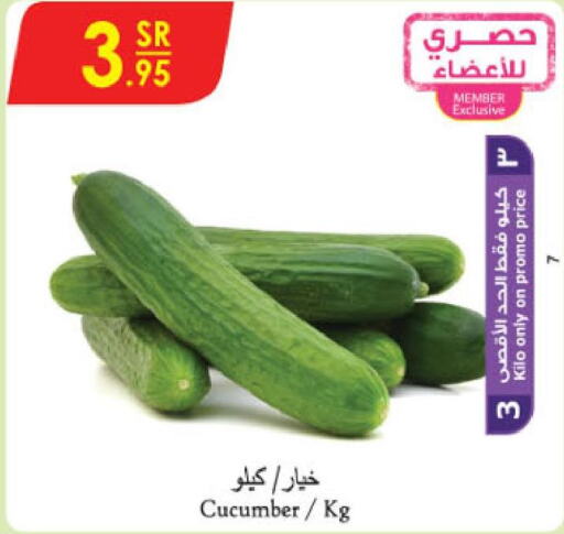  Cucumber  in Danube in KSA, Saudi Arabia, Saudi - Jazan