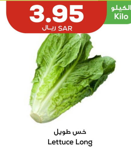  Zucchini  in Astra Markets in KSA, Saudi Arabia, Saudi - Tabuk