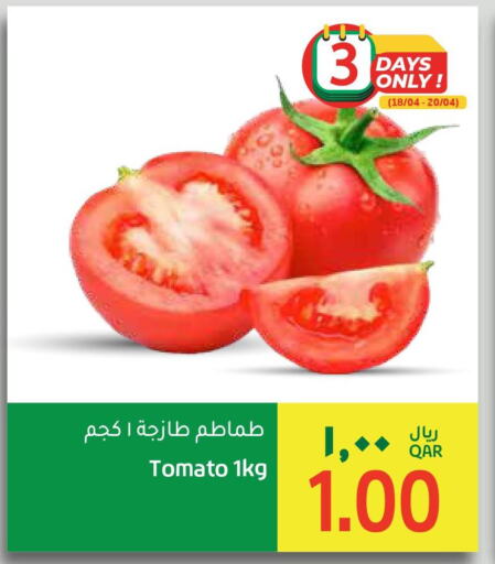  Tomato  in Gulf Food Center in Qatar - Al Shamal