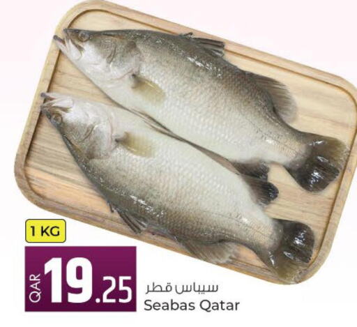  King Fish  in Rawabi Hypermarkets in Qatar - Al Shamal