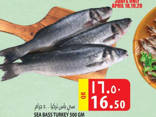 King Fish  in Marza Hypermarket in Qatar - Al Shamal
