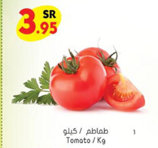 Tomato  in بن داود in مملكة العربية السعودية, السعودية, سعودية - الطائف