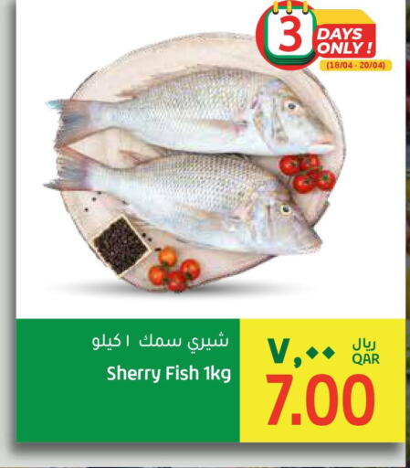  King Fish  in Gulf Food Center in Qatar - Al Shamal