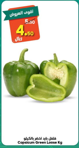  Chilli / Capsicum  in Dukan in KSA, Saudi Arabia, Saudi - Jeddah