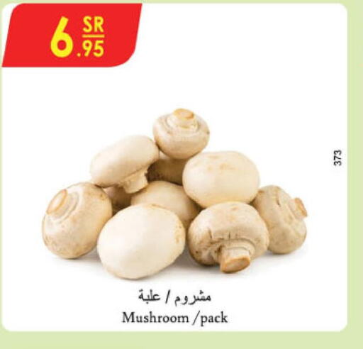  Mushroom  in Danube in KSA, Saudi Arabia, Saudi - Al-Kharj