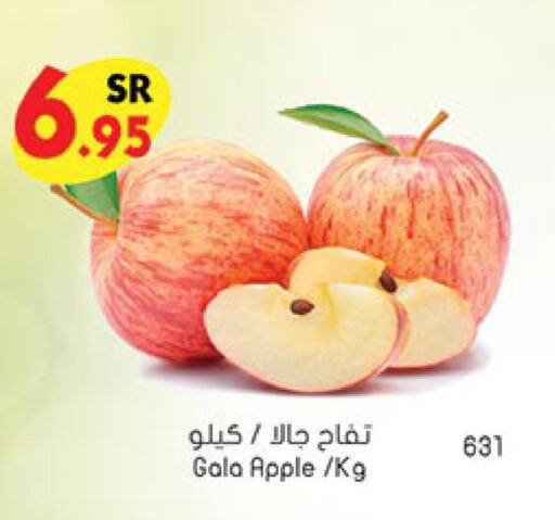  Apples  in بن داود in مملكة العربية السعودية, السعودية, سعودية - جدة