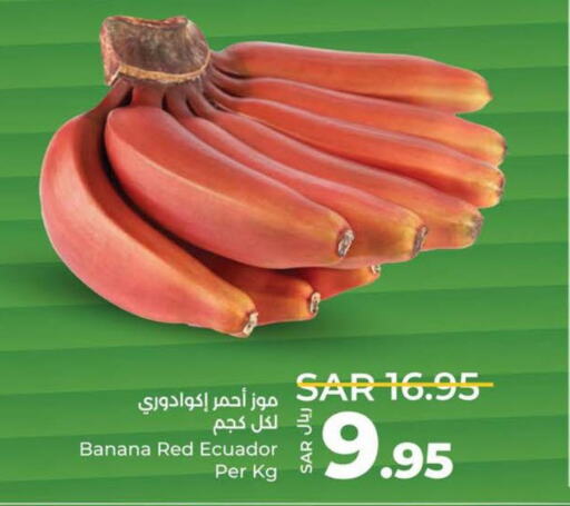  Banana  in LULU Hypermarket in KSA, Saudi Arabia, Saudi - Tabuk