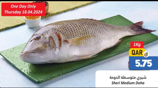  King Fish  in دانة هايبرماركت in قطر - الخور