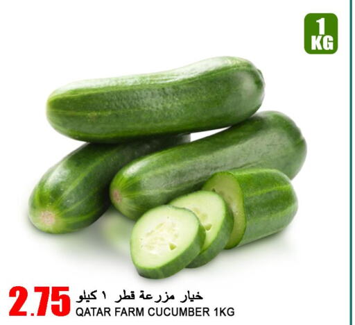 Cucumber  in Food Palace Hypermarket in Qatar - Umm Salal