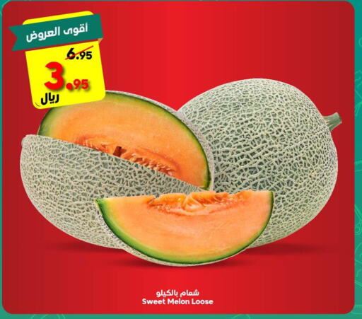  Sweet melon  in الدكان in مملكة العربية السعودية, السعودية, سعودية - الطائف