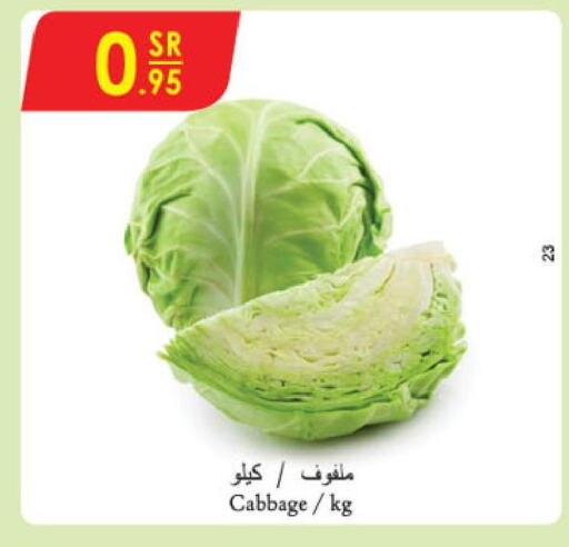  Cabbage  in الدانوب in مملكة العربية السعودية, السعودية, سعودية - الخرج