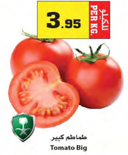 Tomato  in Star Markets in KSA, Saudi Arabia, Saudi - Yanbu