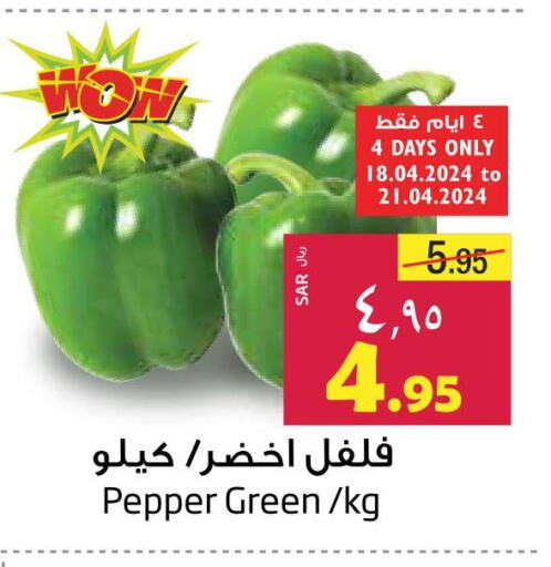  Chilli / Capsicum  in Layan Hyper in KSA, Saudi Arabia, Saudi - Dammam