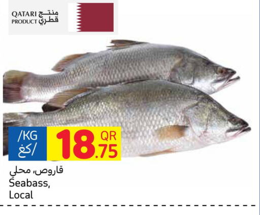  King Fish  in Carrefour in Qatar - Al Shamal
