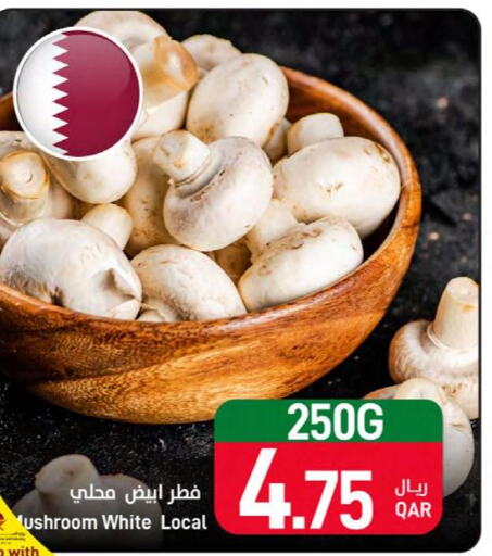  Mushroom  in ســبــار in قطر - الوكرة