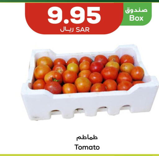  Tomato  in Astra Markets in KSA, Saudi Arabia, Saudi - Tabuk