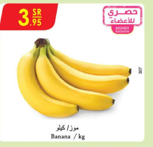  Banana  in الدانوب in مملكة العربية السعودية, السعودية, سعودية - حائل‎
