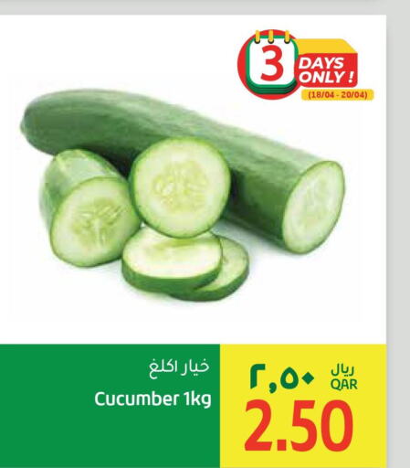  Cucumber  in Gulf Food Center in Qatar - Al Shamal