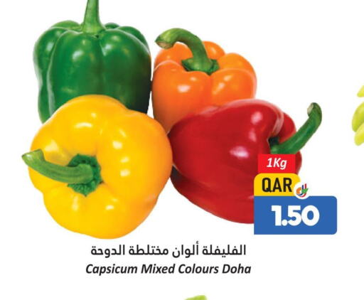  Chilli / Capsicum  in Dana Hypermarket in Qatar - Al Shamal
