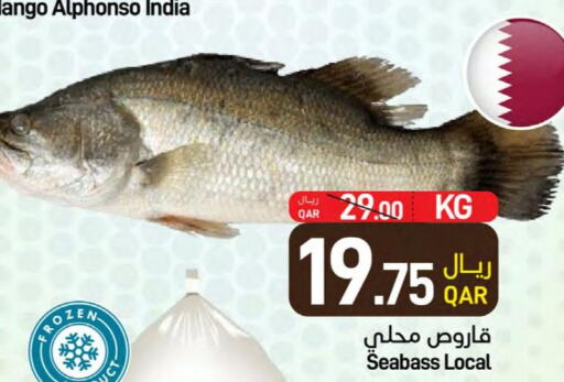  King Fish  in ســبــار in قطر - الضعاين