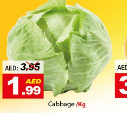  Cabbage  in ديزرت فريش ماركت in الإمارات العربية المتحدة , الامارات - أبو ظبي