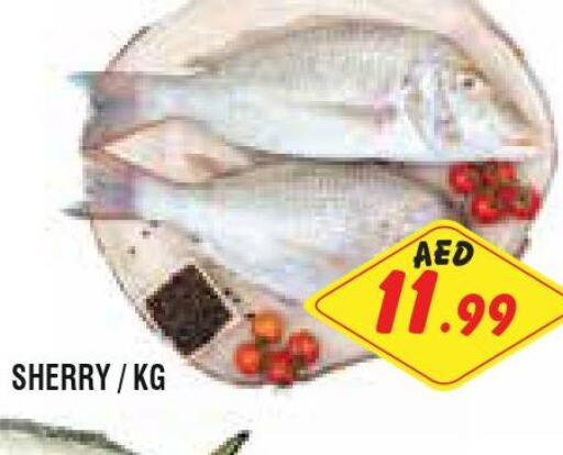  Tuna  in Home Fresh Supermarket in UAE - Abu Dhabi