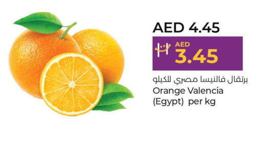  Orange  in Lulu Hypermarket in UAE - Dubai