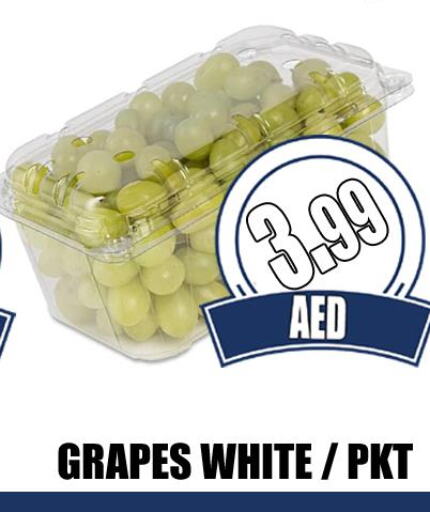  Grapes  in GRAND MAJESTIC HYPERMARKET in الإمارات العربية المتحدة , الامارات - أبو ظبي