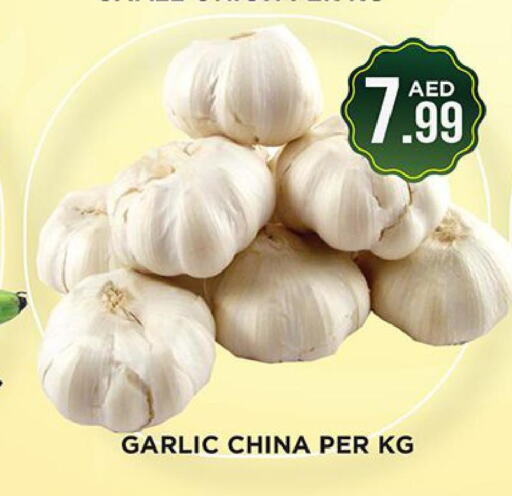  Garlic  in Ainas Al madina hypermarket in UAE - Sharjah / Ajman